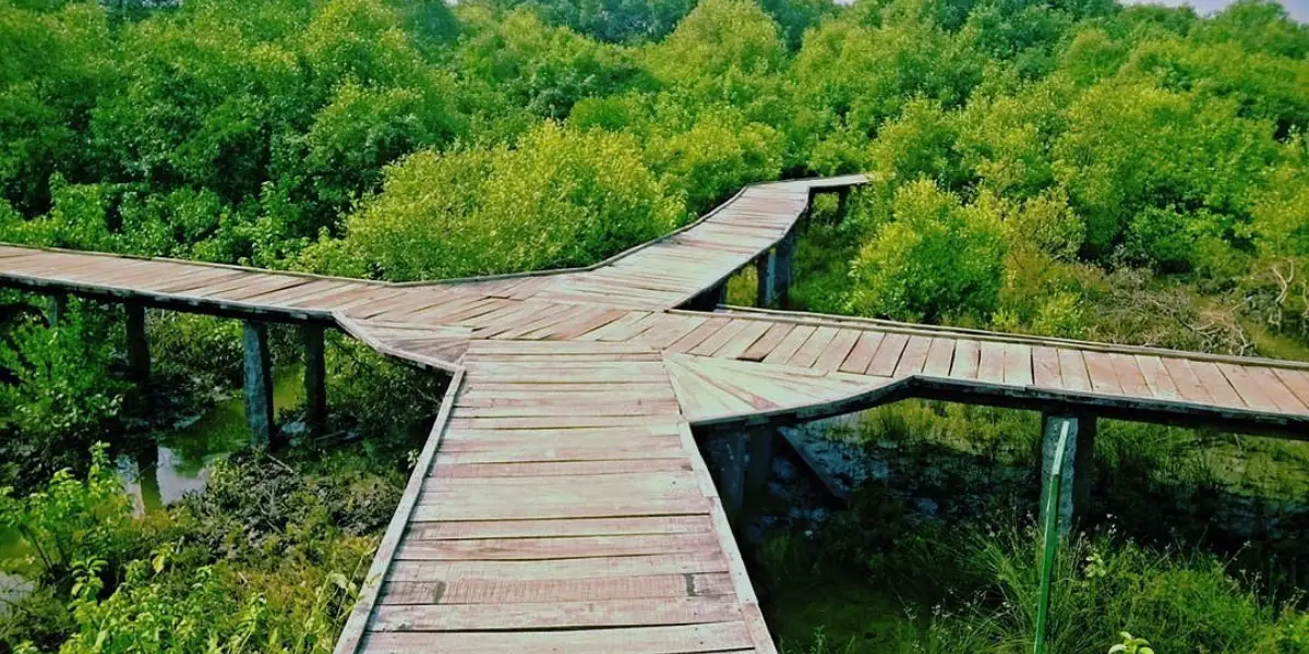 Coringa Mangroves & Hope Island